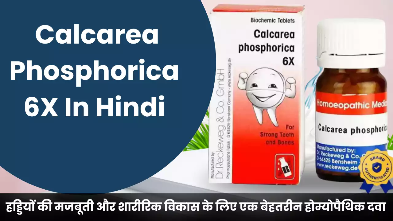 Calcarea Phosphorica 6X In Hindi